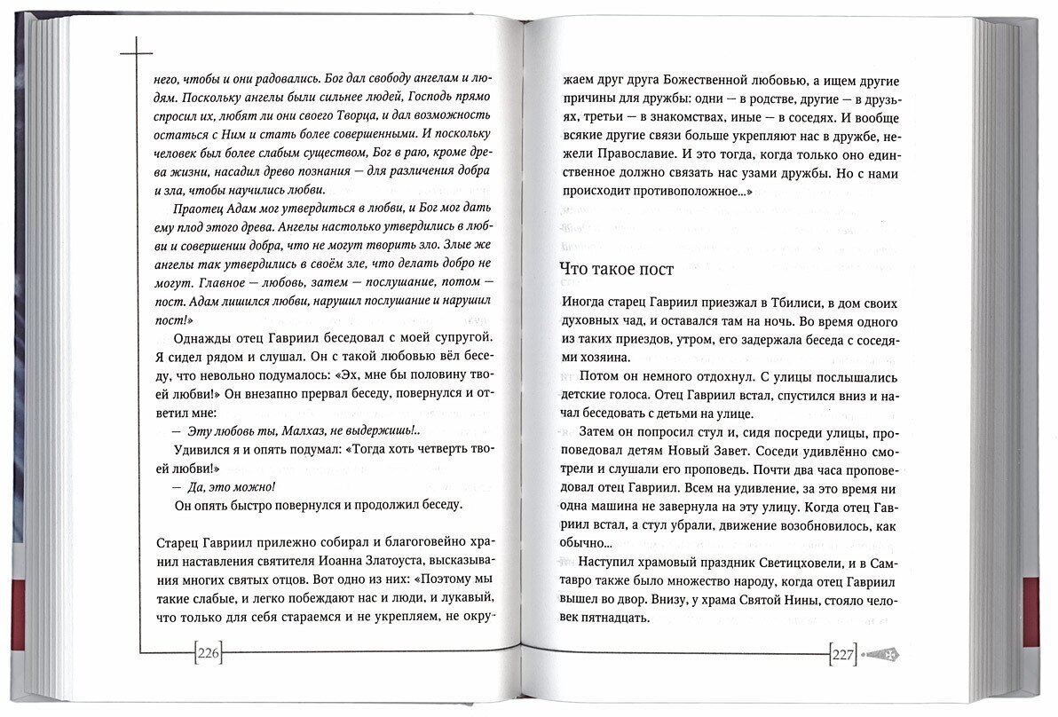 Старец Гавриил: сердце, полное любви. Житие и поучения старца Гавриила (Ургебадзе) и воспоминания о нем - фото №2
