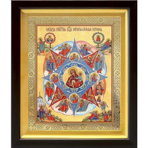 Икона Божией Матери Неопалимая Купина, киот 19*22,5 см