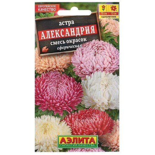 Семена цветов Астра Александрия, смесь окрасок 0,2 г 12 упаковок