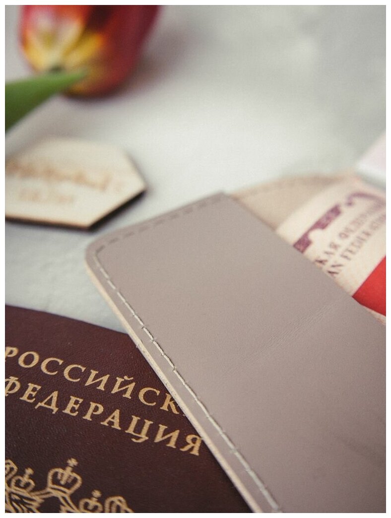Обложка для паспорта Daria Zolotareva