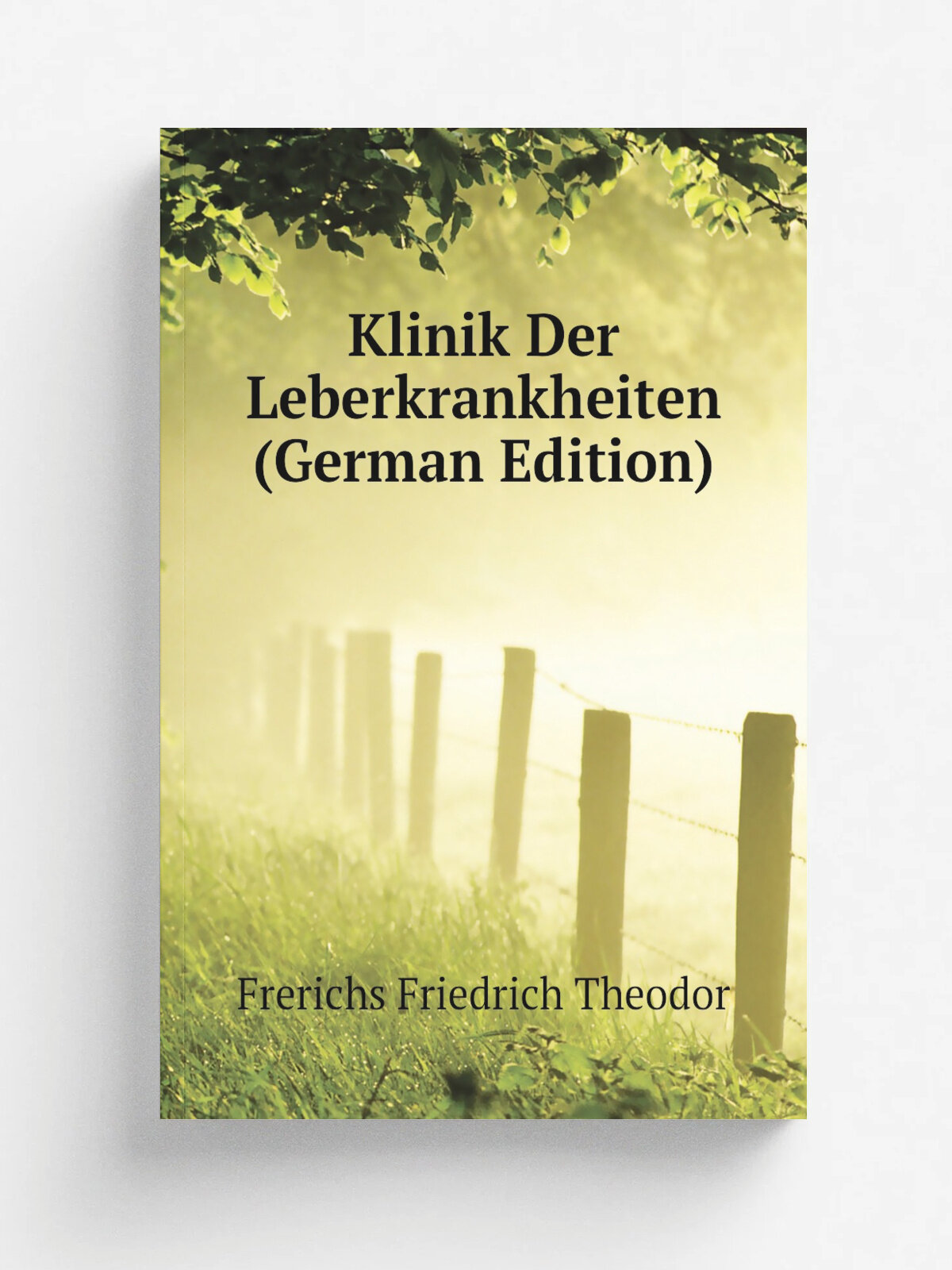Klinik Der Leberkrankheiten (German Edition) | Frerichs Friedrich Theodor | Репринт