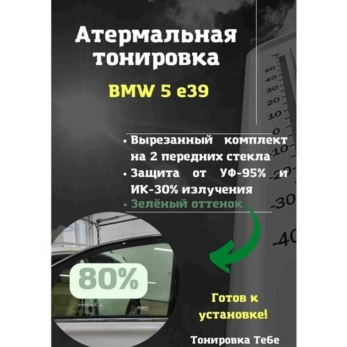 Термо тонир BMW 5 e39 80% green