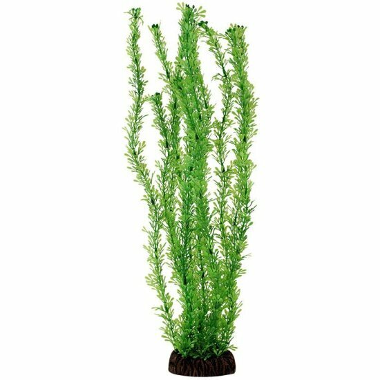 Растение Laguna "Лигодиум" зеленый, 400мм