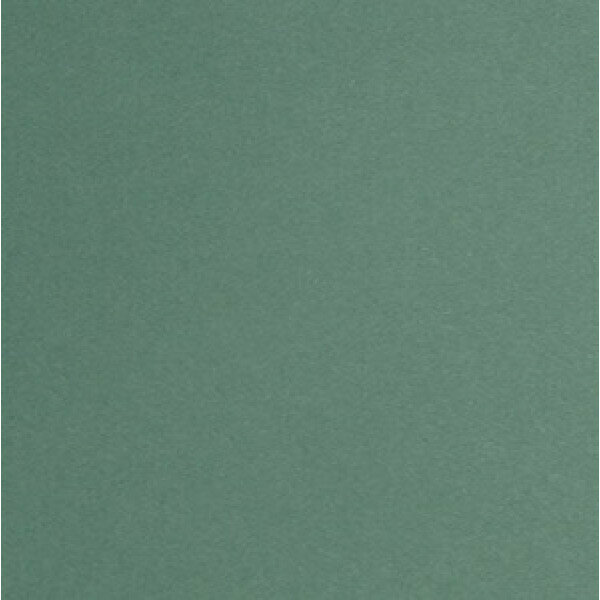 Картон цветной тонир двуст А3 200г/м2 зеленый лилия холдинг КЦ А3 зел цена 1 л.130985