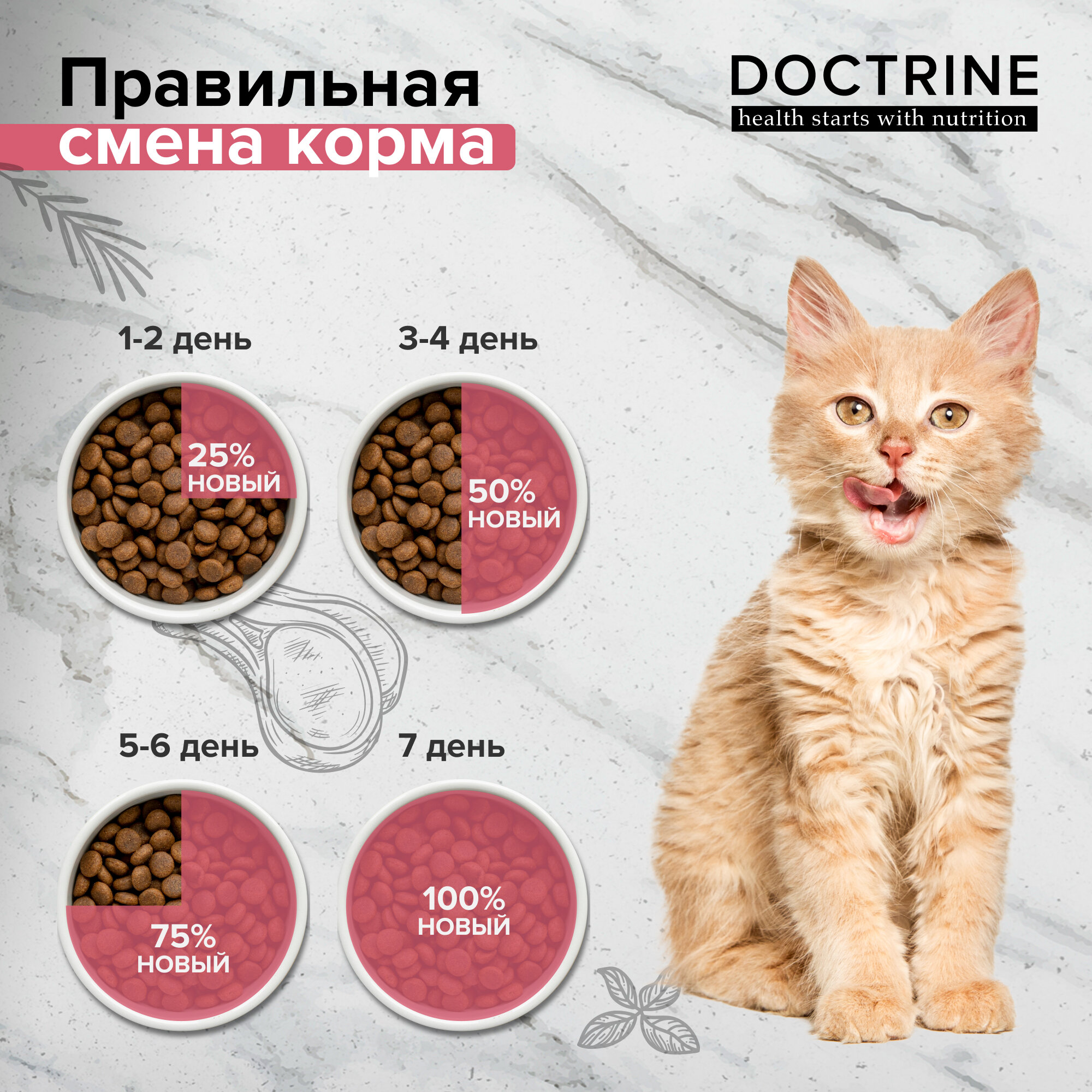 DOCTRINE сухой корм с индейкой и рисом 3,0 кг - фотография № 6