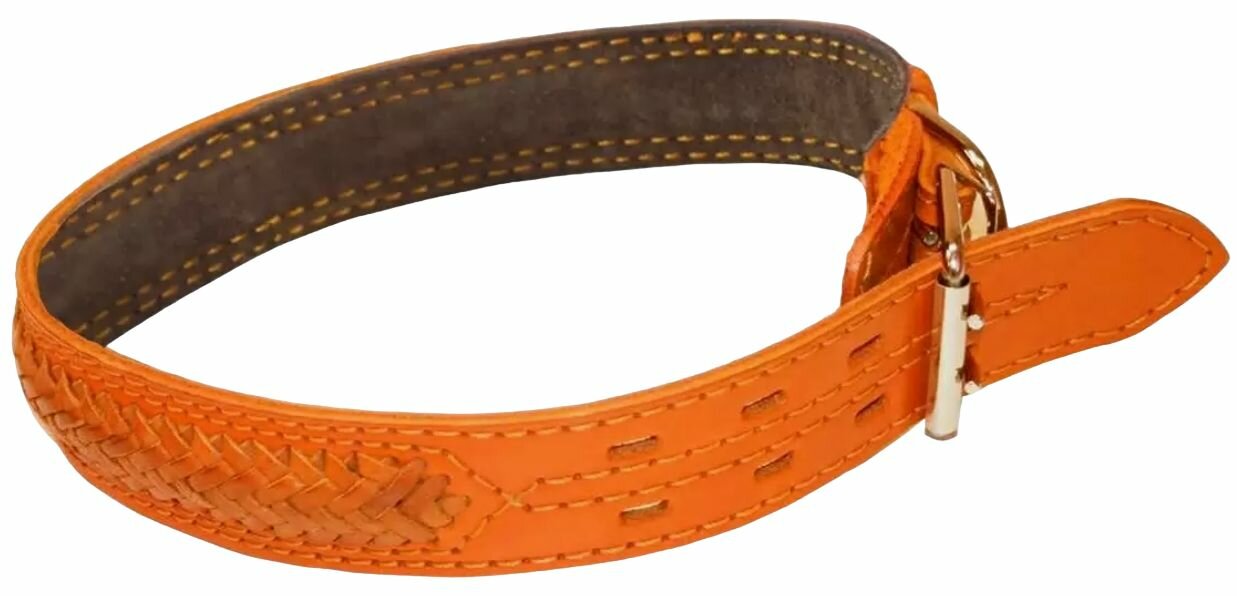фото ZooMaster Ошейник для собак плетеный, 2,5 см х 45 см