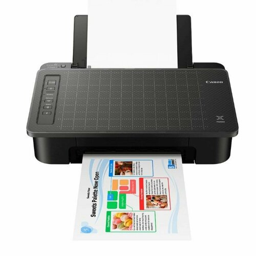 Принтер струйный Canon PIXMA TS305 1339000₽