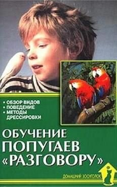 Обучение попугаев разговору Обзор видов Поведение Методы дрессировки - фото №3