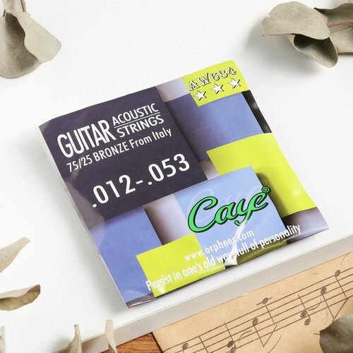 Струны для акустической гитары Orphee AW634, 012-053 orphee sa 38 струны для акустической гитары