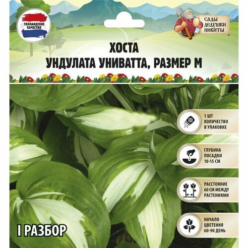 Сады Дедушки Никиты Хоста 