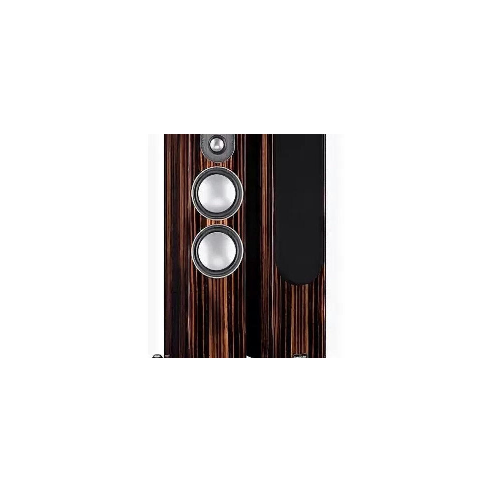 Напольная акустика Monitor Audio Gold 300 (5G) Piano Ebony