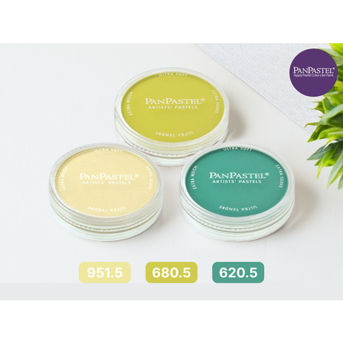 Набор ультрамягкой художественной пастели PanPastel