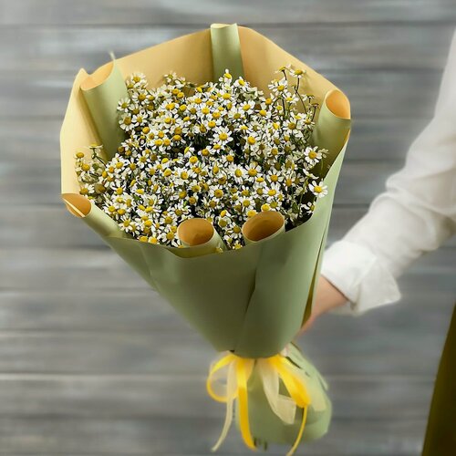 Изображение товара Оригинальный букет из живых цветов ромашек