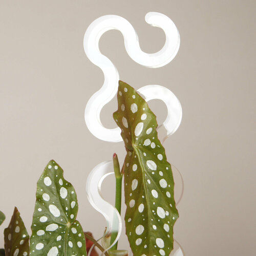 Опора для комнатных цветов и растений Plant*Secrets PYTHON, прозрачная, высота 32 см