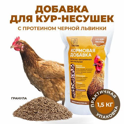Белковый премикс для кур несушек инпротеин. Добавки для кур с протеином Черной львинки 1,5 кг.