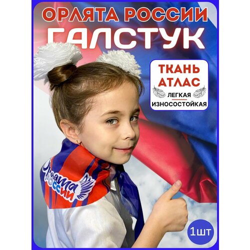 фото Галстук , синий, белый, фиолетовый, голубой, красный nd collection