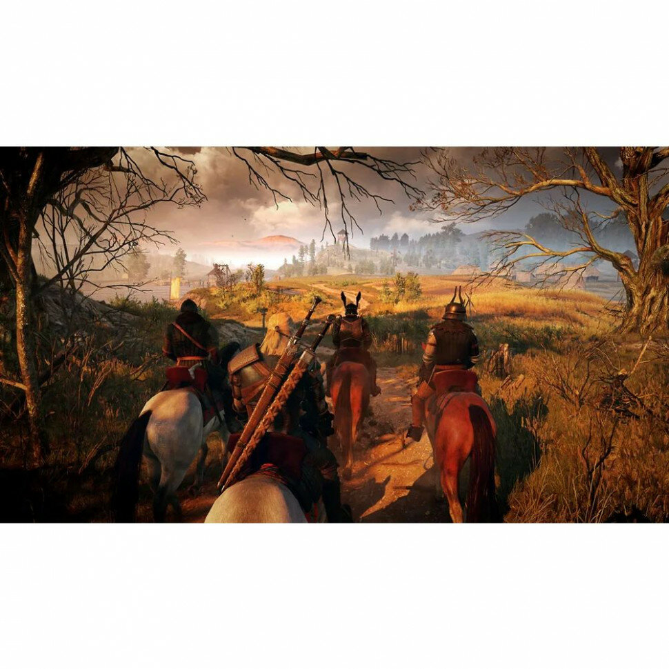 Игра The Witcher 3: Wild Hunt (Ведьмак 3) Complete Edition для Nintendo Switch (Русские субтитры) — фото 1