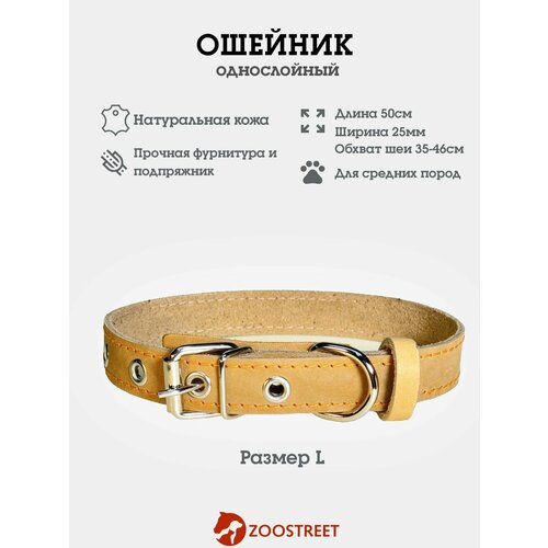 Ошейник для собак средних пород кожаный, однослойный, 25мм, 50см, с подпряжником L