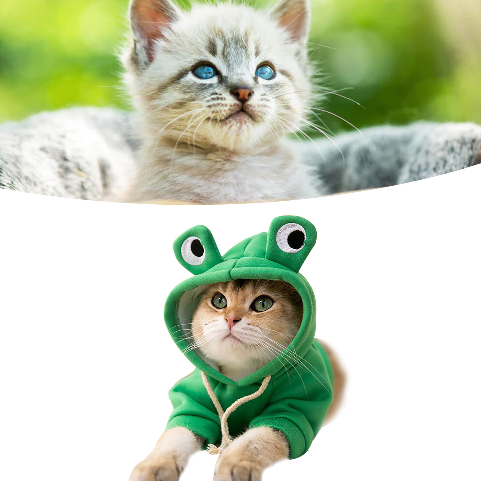 Толстовки с кошками, стильные милые животные, осенне-зимний теплый очаровательный костюм кота для кошек, котят, щенков, большеглазая лягушка в костюме M (рекомендуемый вес 2,5‑4 кг/5,5‑8,8 фунтов)
