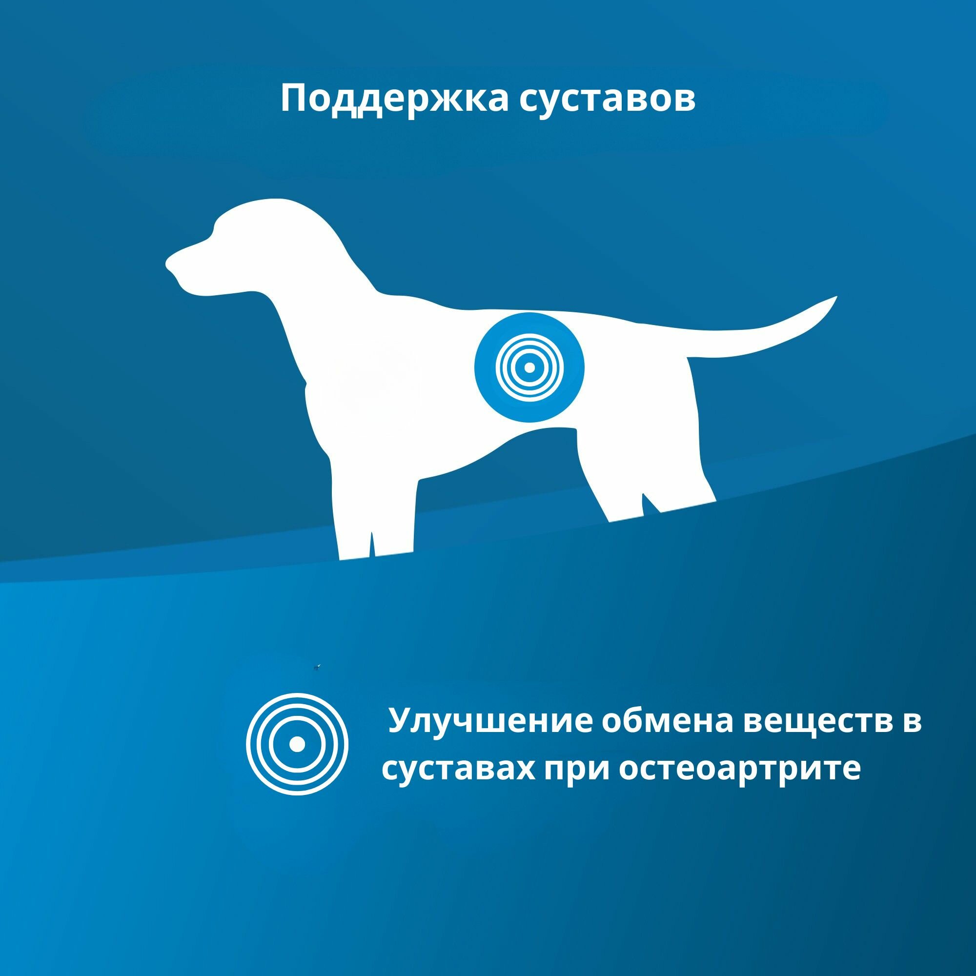 Картинки Сухой диетический корм Farmina Vet Life Joint для собак с заболеваниями опорно-двигательного аппарата, 12 кг