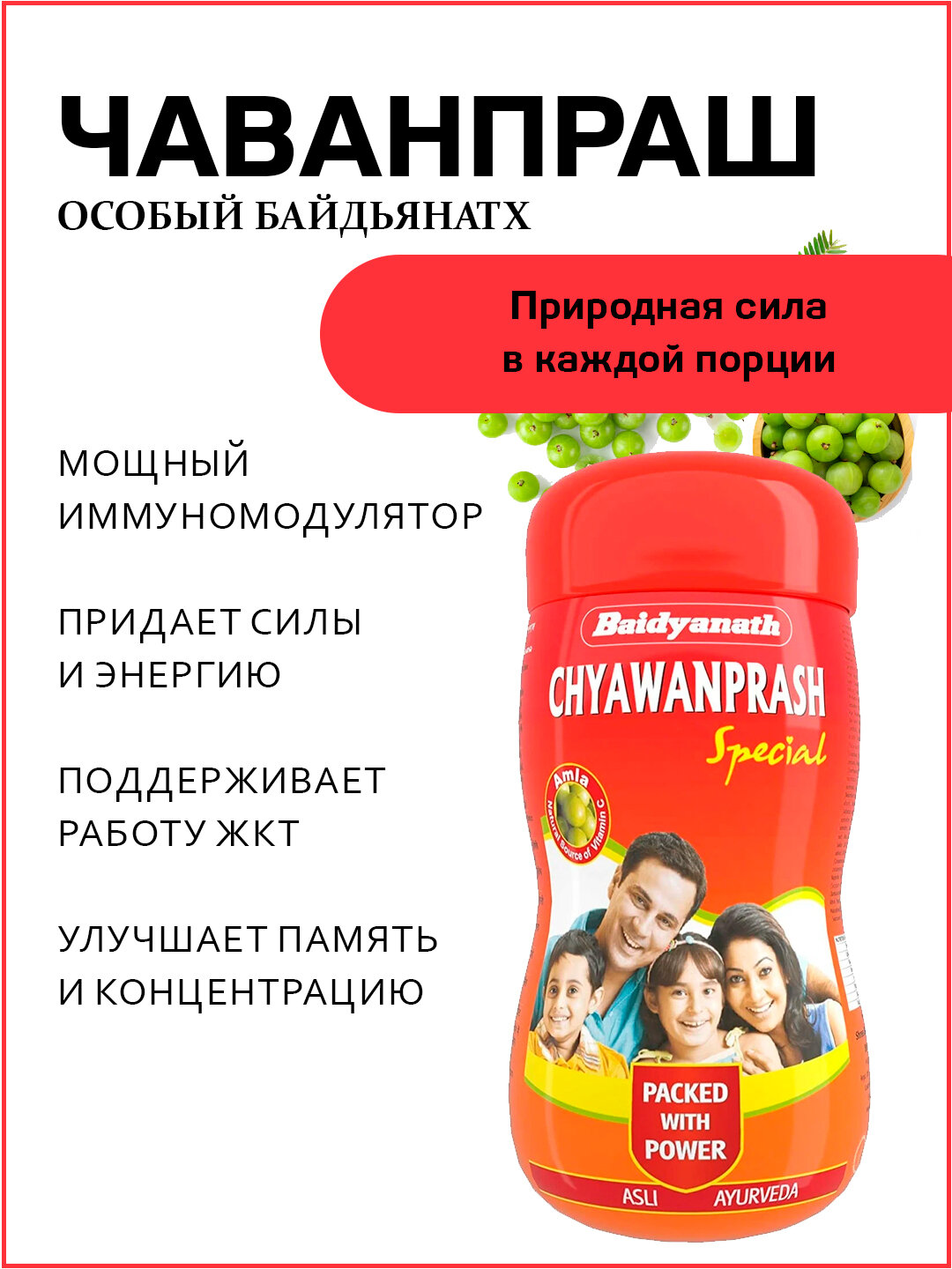 Чаванпраш Особый для всей семьи Chyawanprash Special Baidyanath 500 гр