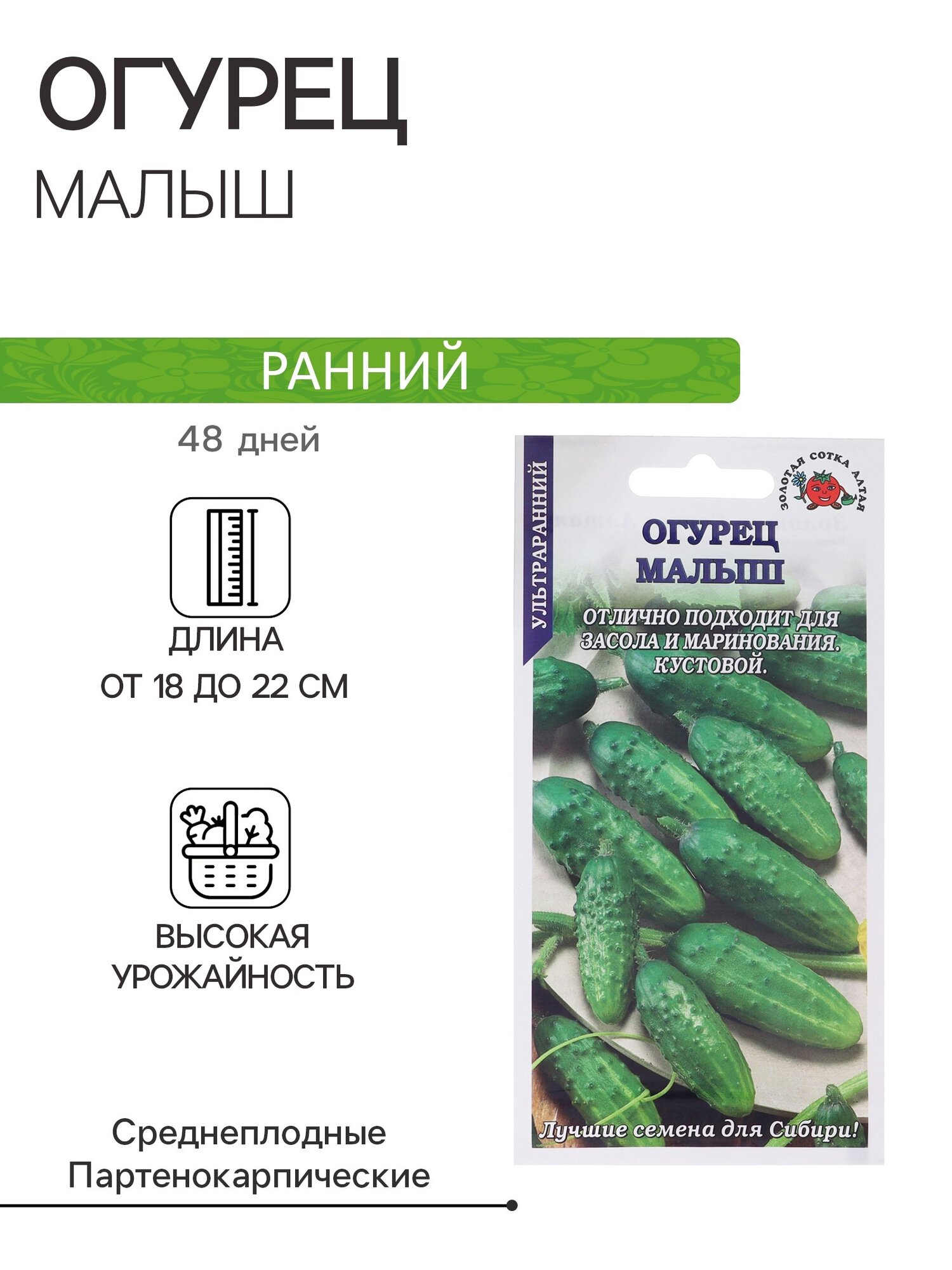 Семена огурца золотая сотка алтая 