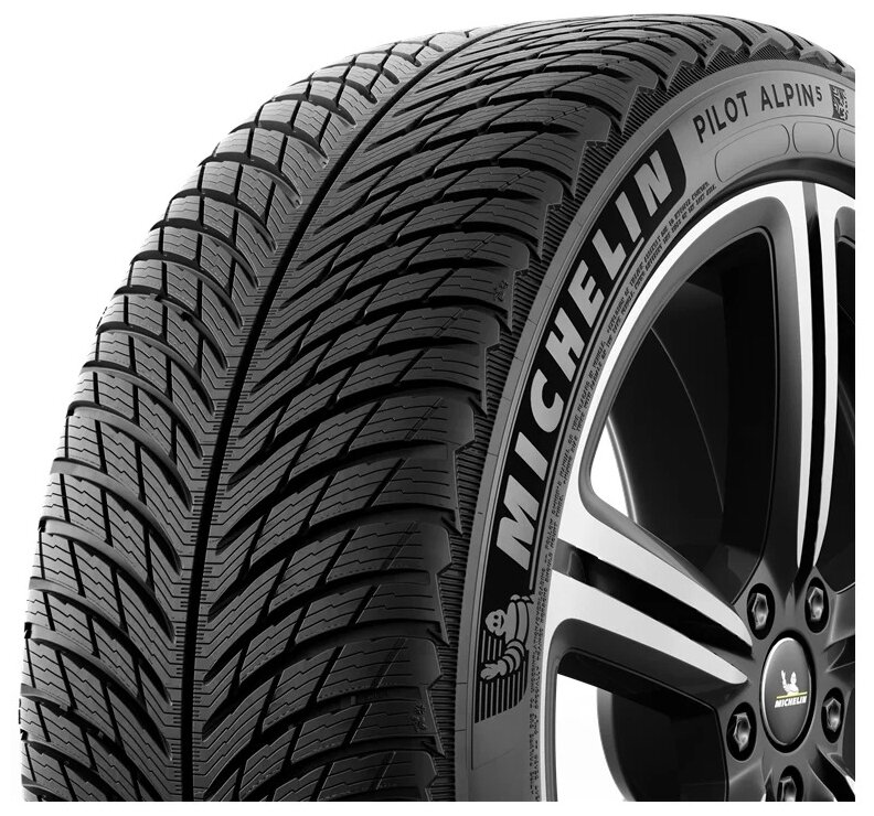 Шина Michelin Pilot Alpin 5 255/40 R19 V 100 - фото №4