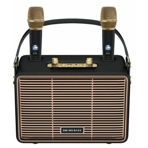 Портативная караоке система Booms Bass M4201 черная 590000₽