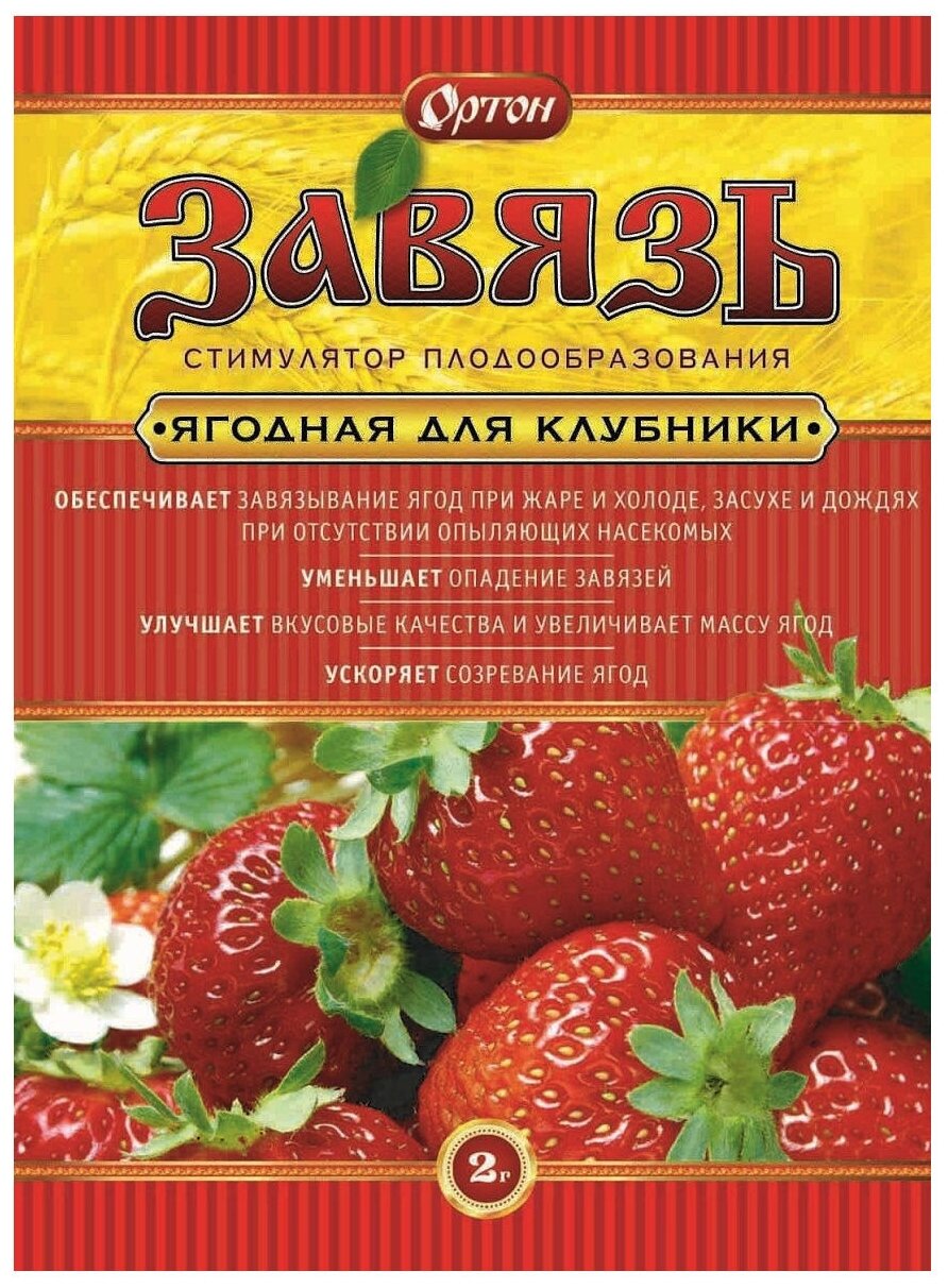 фото Удобрение Ортон Завязь ягодная для клубники