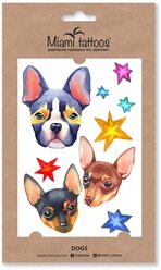 Miami tattoos Набор переводных тату Dogs синий/коричневый