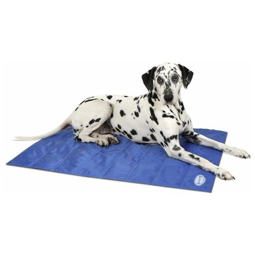 фото Коврик для собак scruffs cool mat m 77х62 см голубой