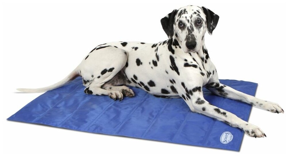 Охлаждающий коврик для собак SCRUFFS "Cool Mat ", голубой, 77*62см (Великобритания) - фотография № 2