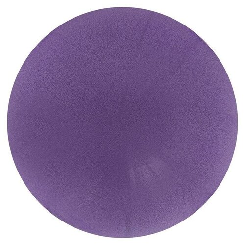 фото Мяч для йоги 25 см, 100 гр, цвет фиолетовый 2267524 sangh