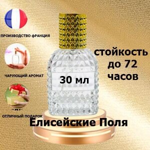 Масляные духи Елисейские поля, женский аромат,30 мл.