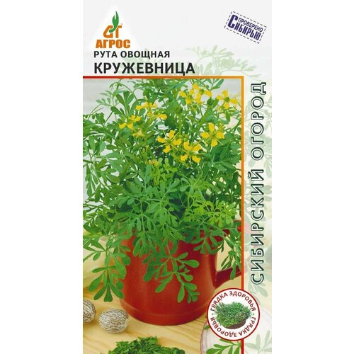 Рута Кружевница 03г, Агрос