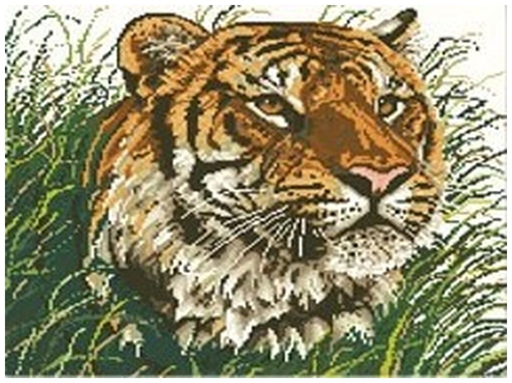 Алмазная мозаика "Тигр в траве", 47x50 см