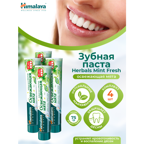 Зубная паста Himalaya Herbals Mint Fresh Свежая мята 75 мл. х 4 шт. зубная паста nordics morning fresh coconut mint 75 мл