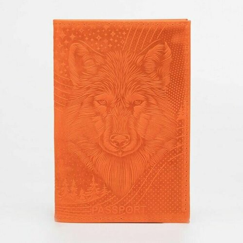 Обложка для паспорта , оранжевый обложка для паспорта оранжевый