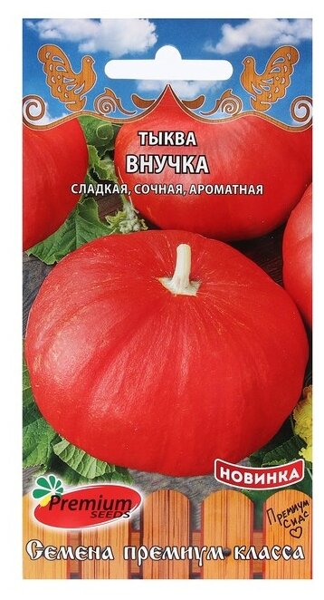 Семена Premium seeds Тыква Внучка 7 шт