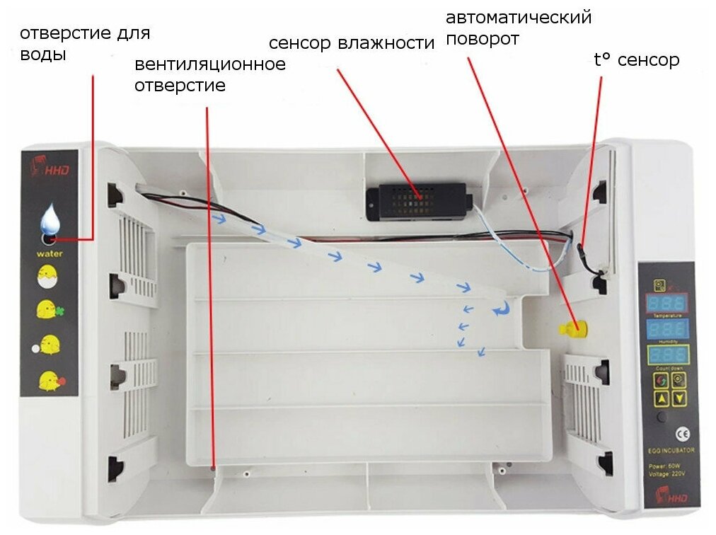 Инкубатор HHD 24 автоматический для яиц - фотография № 16