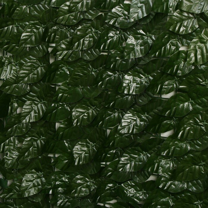 Изгородь декоративная, 100 × 300 см, «Листья удлинённые» - фотография № 7