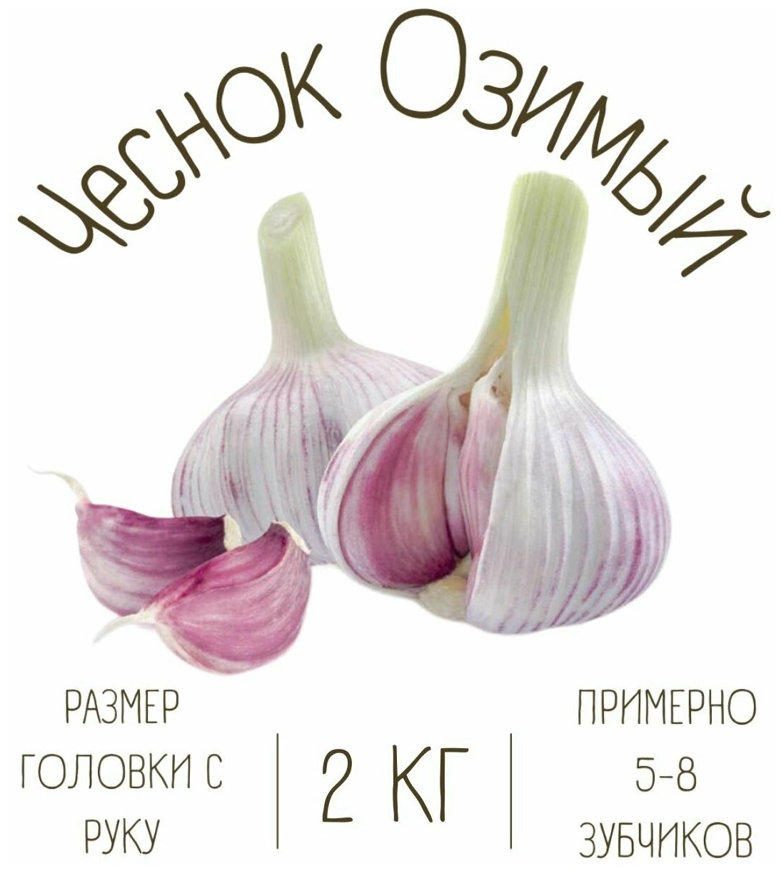 Чеснок Озимый 2 кг