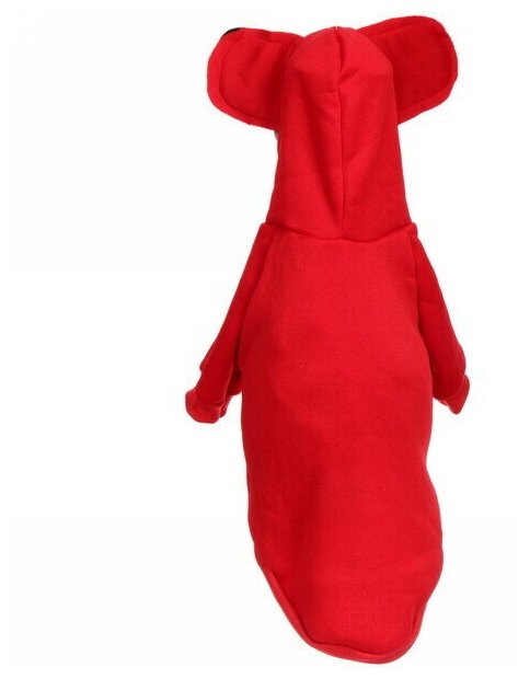 Кофта-толстовка для собаки «Ушастик» с капюшоном, размер S (17*21*26см) цвет красный Ultramarine - фотография № 4