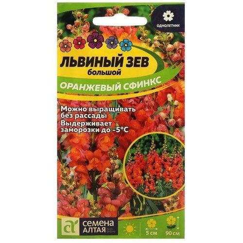 Семена цветов Львиный зев Оранжевый Сфинкс 0,2 г 12 упаковок семена цветов львиный зев том тамб карликовый 0 1 г 10 упаковок