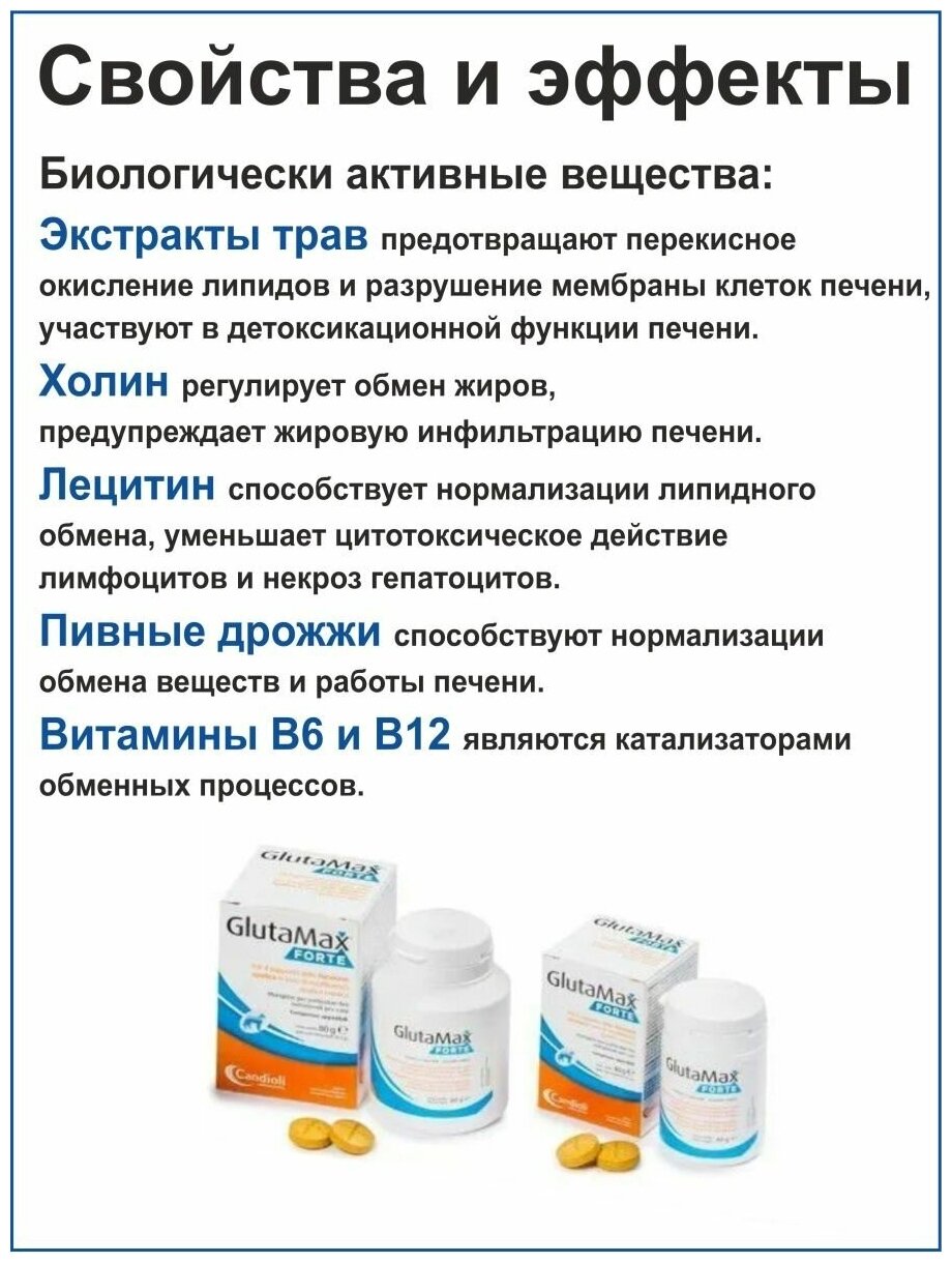 Candioli Глютамакс Кормовая добавка для нормализации работы печени у кошек и собак, 40 таблеток - фото №5