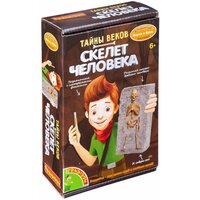 Исторические раскопки Науки с Буки BONDIBON, тайны веков (скелет человека) ВВ4790