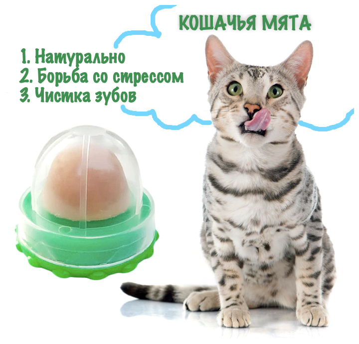 Шарик-кошачья мята для кошек 1 шт. - фотография № 1