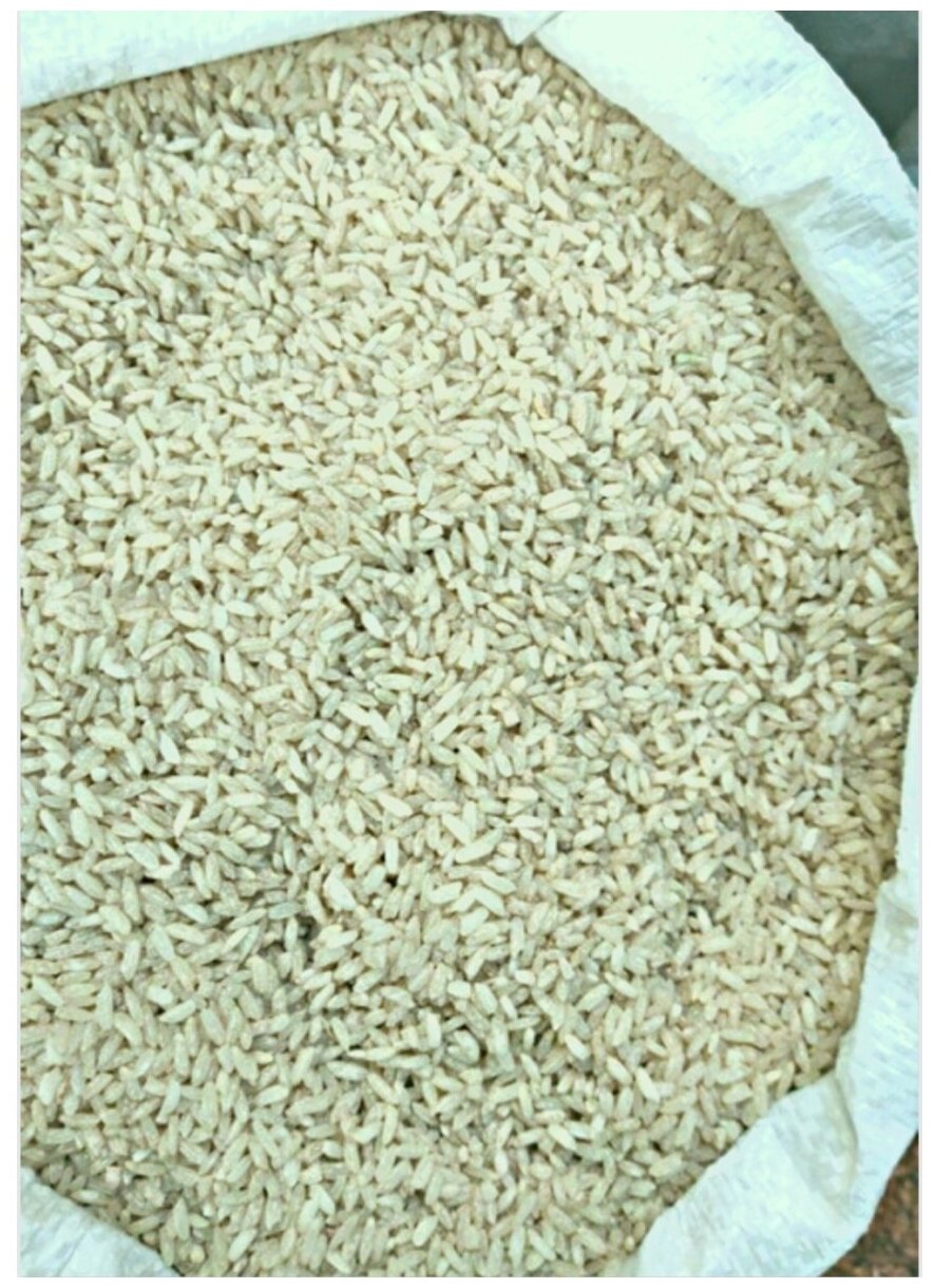 Рис, рис для плова Девзира Киргизия 1 кг - фотография № 2