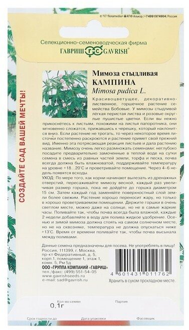 Семена комнатных цветов Мимоза "Кампина", 0,1 г