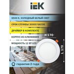 Светильник IEK ДВО 1606, LED, 12 Вт - изображение